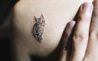 Kattentattoo – betekenis, locatie en ontwerpen in verschillende stijlen